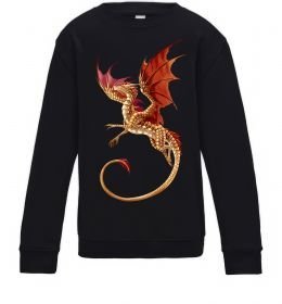 Детский Свитшот Дракон в польоті