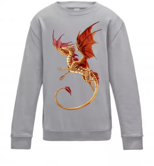 Детский Свитшот Дракон в польоті Серый меланж фото