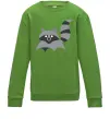 Детский Свитшот Racoon Лаймовый фото