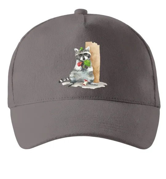 Кепка Єнот їсть Сірий фото