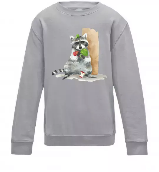 Детский Свитшот Єнот їсть Серый меланж фото