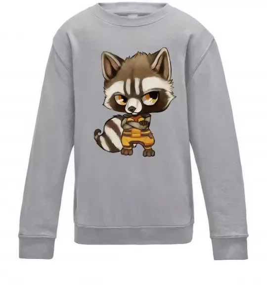 Дитячий світшот Angry racoon Сірий меланж фото