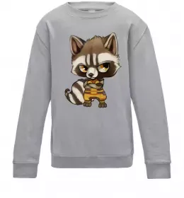 Детский Свитшот Angry racoon Серый меланж фото