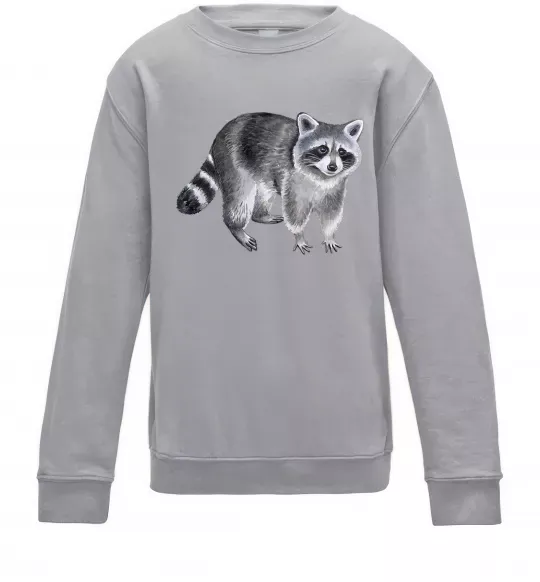 Детский Свитшот Малюнок єнота Серый меланж фото