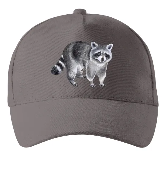 Кепка Малюнок єнота Серый фото