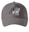 Кепка Малюнок єнота Серый фото