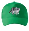 Кепка Малюнок єнота Зеленый фото
