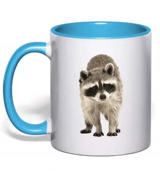 Чашка з кольоровою ручкою Realistic racсoon Блакитний фото