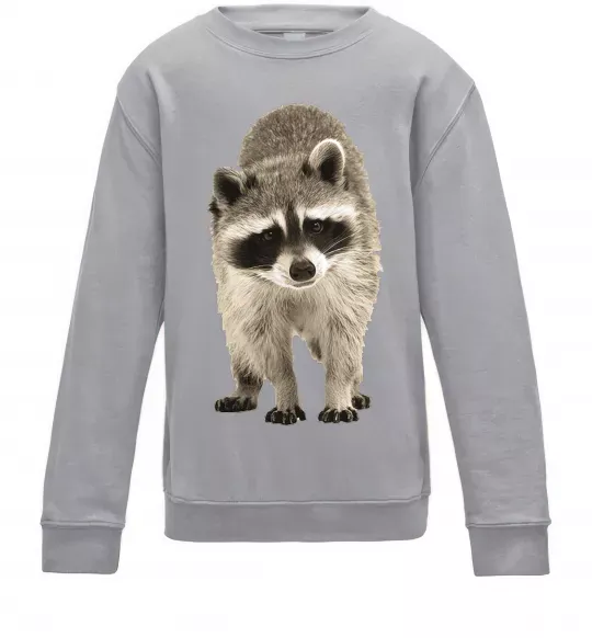 Дитячий світшот Realistic racсoon Сірий меланж фото