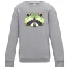 Детский Свитшот Єнот зелений Серый меланж фото