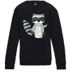 Детский Свитшот Say hi to racoon Черный Детский Свитшот Say hi to racoon Черный фото