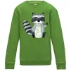 Детский Свитшот Say hi to racoon Лаймовый Детский Свитшот Say hi to racoon Лаймовый фото