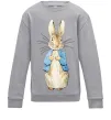 Дитячий світшот Кролик в курточці Сірий меланж фото