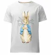 Чоловіча преміум футболка Кролик в курточці Білий фото