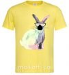 Мужская футболка Кролик градиент в очках Лимонный фото