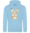 Мужская толстовка (худи) Рудий кролик Голубой фото