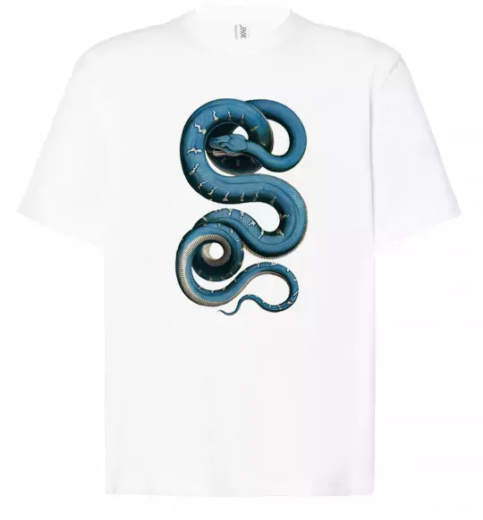 Футболка Оверсайз Блакитна змія Білий фото