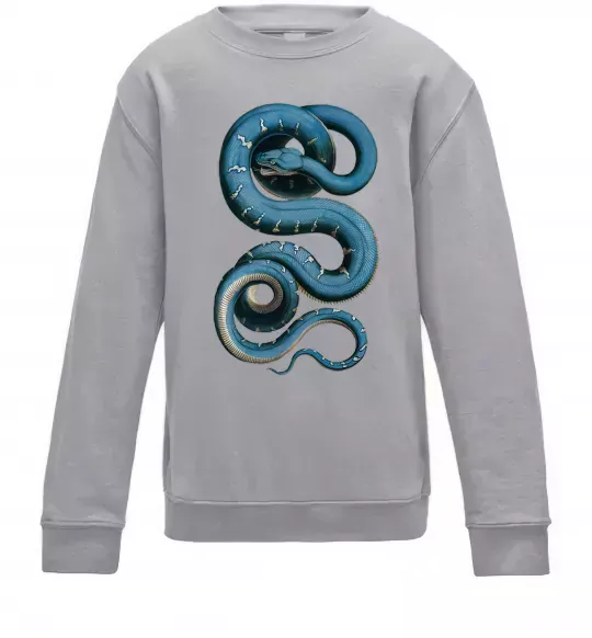 Детский Свитшот Блакитна змія Серый меланж фото
