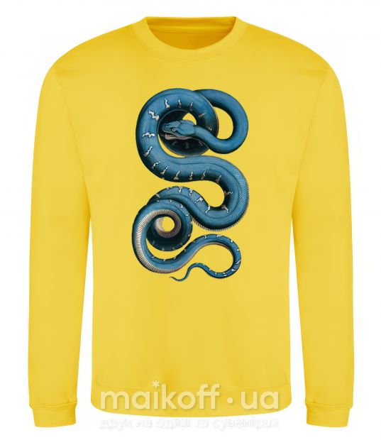 Свитшот Голубая змея Солнечно желтый фото