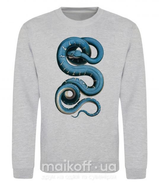 Свитшот Голубая змея Серый меланж фото