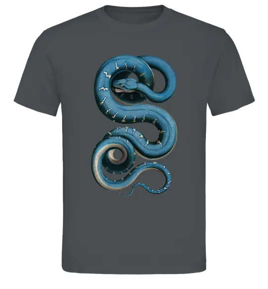 Мужская футболка Блакитна змія Графит фото