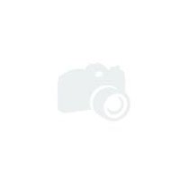 Мужская толстовка (худи) Black doberman Мятный фото